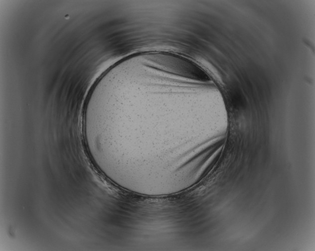 X0000092041044200710100954