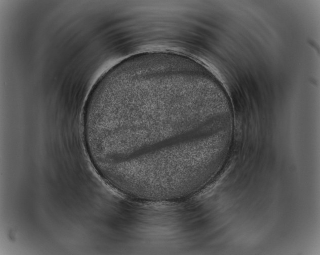 X0000092041045200710100954