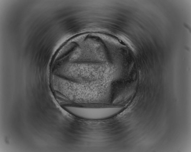 X0000092041046200710100954