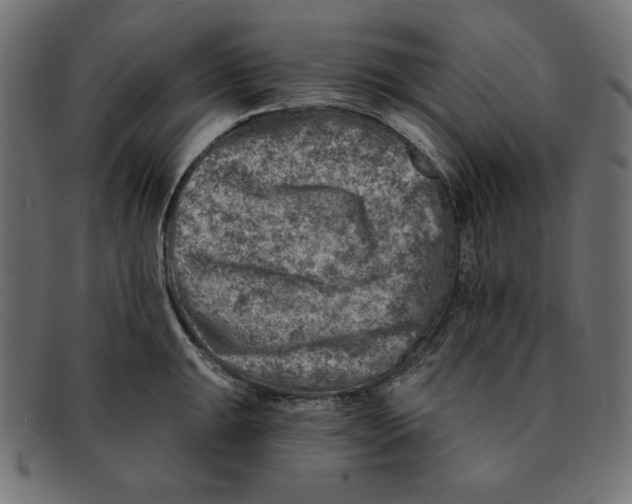 X0000092041047200710100954