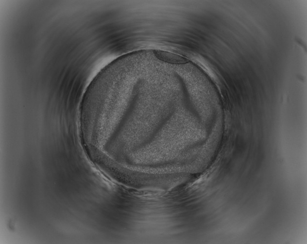 X0000092041048200710100954