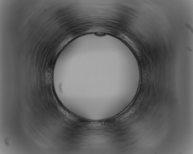 X0000092041049200710100954