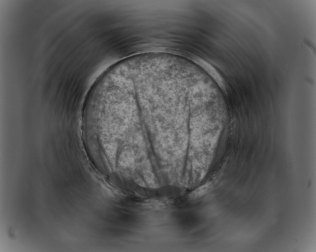 X0000092041051200710100954