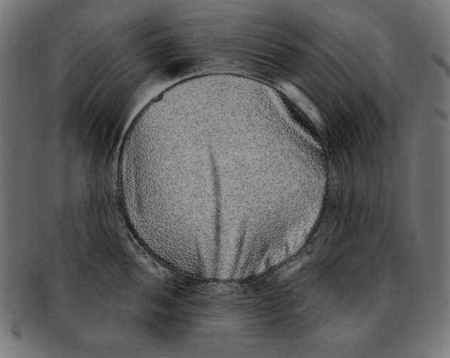 X0000092041052200710100954