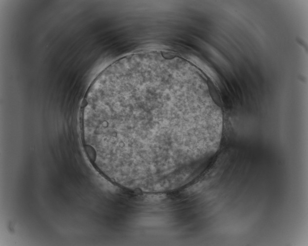 X0000092041055200710100954