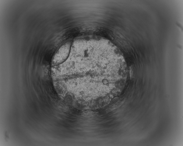 X0000092041059200710100953