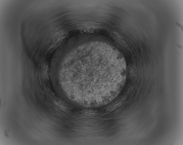 X0000092041060200710100953