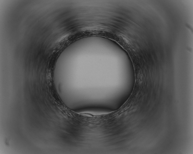 X0000092041062200710100953