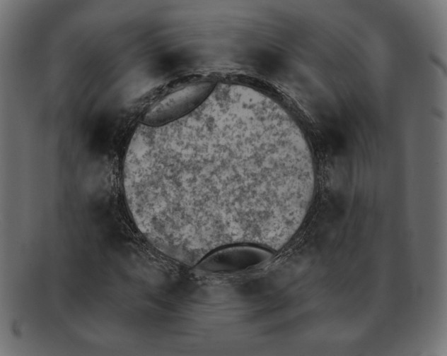 X0000092041063200710100953