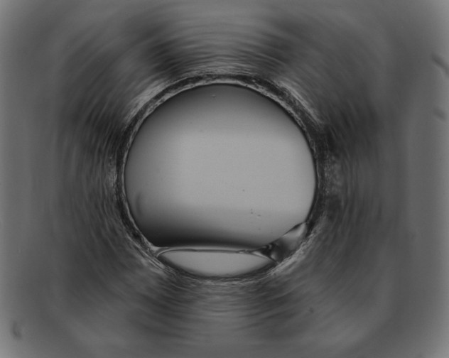 X0000092041065200710100953