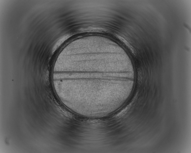 X0000092041066200710100953