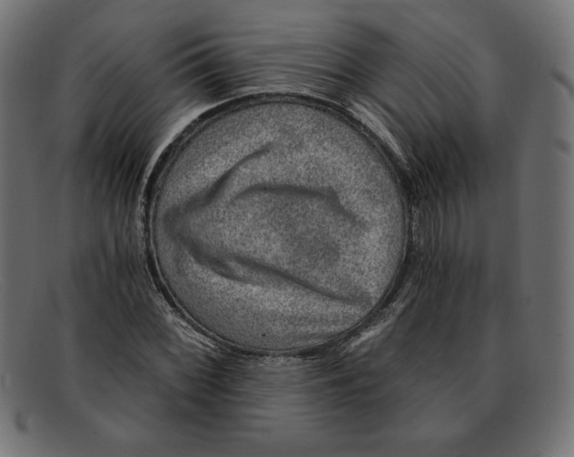 X0000092041068200710100953