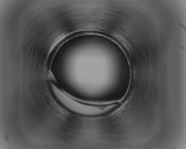 X0000092041069200710100953