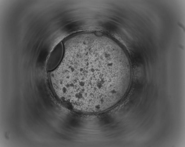 X0000092041071200710100953