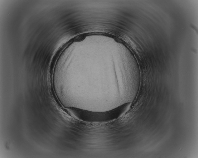 X0000092041072200710100953