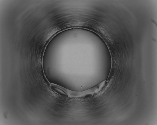 X0000092041073200710100953