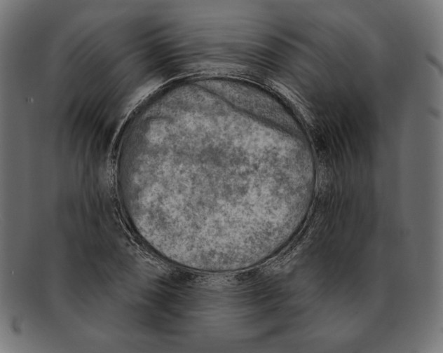 X0000092041074200710100953