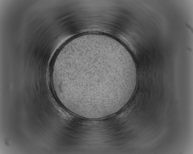 X0000092041076200710100953