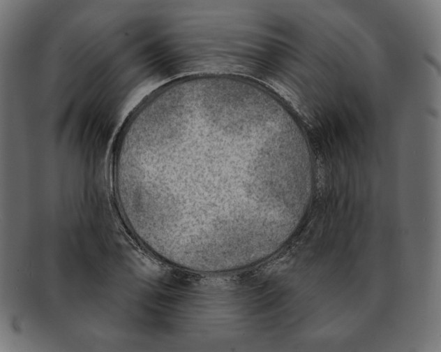 X0000092041078200710100953