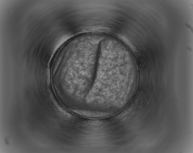 X0000092041079200710100953