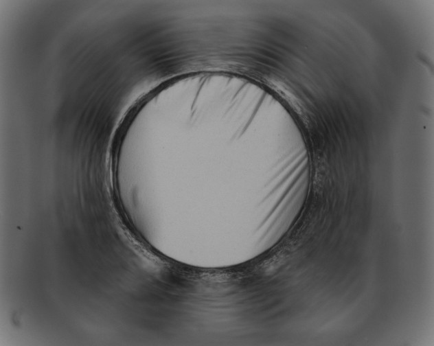 X0000092041080200710100953