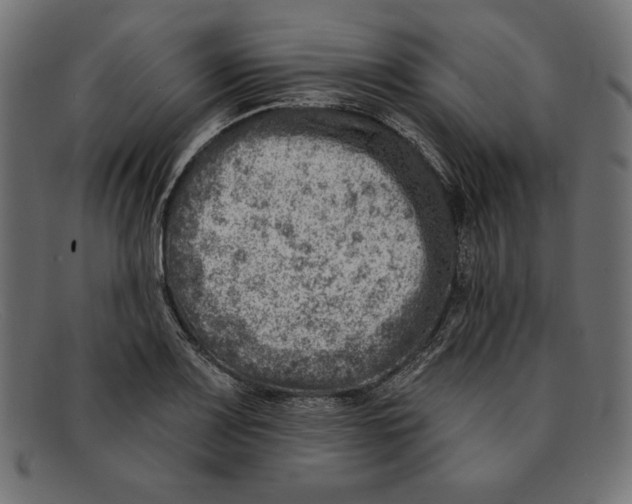 X0000092041083200710100953