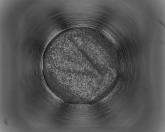 X0000092041084200710100953