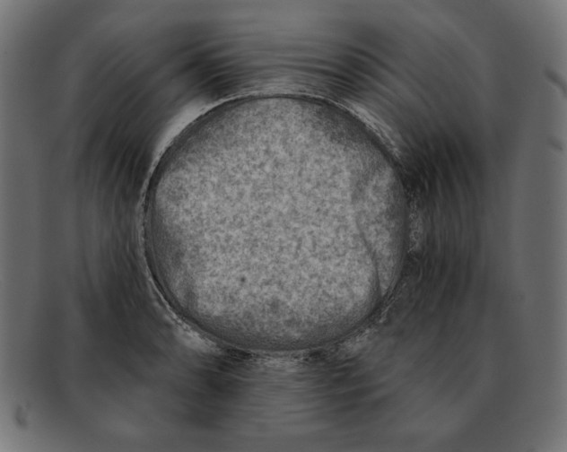 X0000092041086200710100953