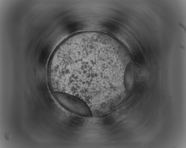 X0000092041087200710100953