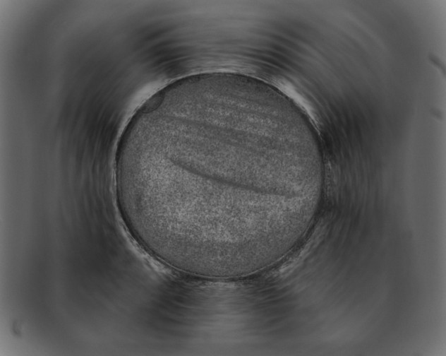 X0000092041088200710100953