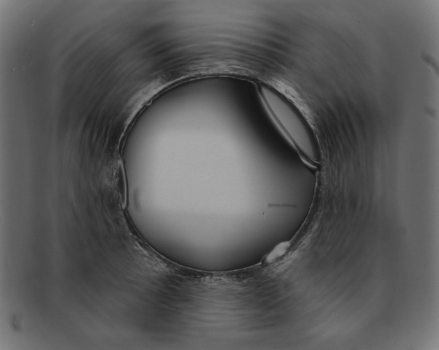 X0000092041089200710100953