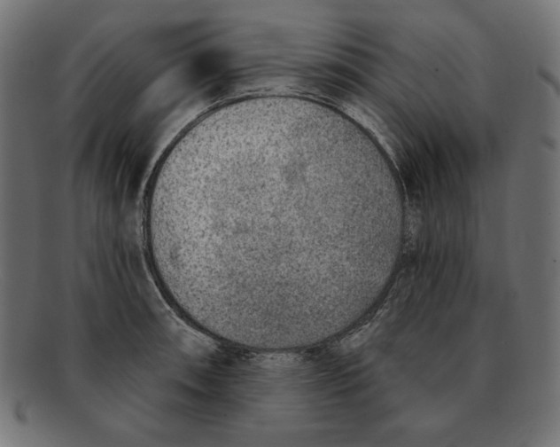 X0000092041090200710100953