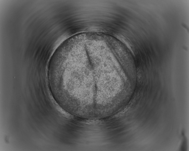 X0000092041091200710100953