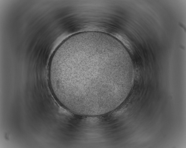 X0000092041094200710100953