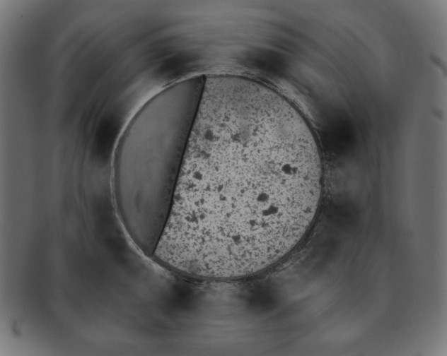 X0000092041095200710100953