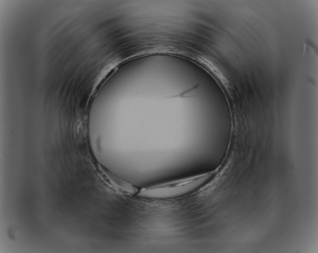 X0000092041097200710100953