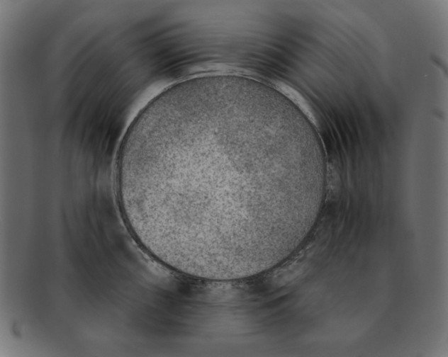 X0000092041098200710100953