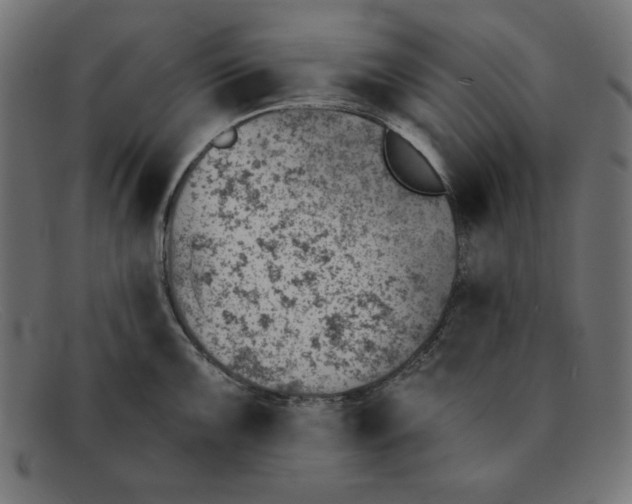 X0000092041099200710100953