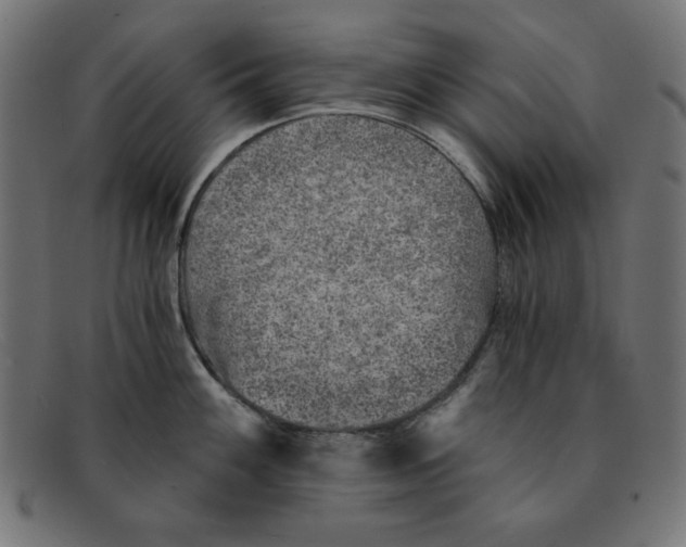 X0000092041100200710100953