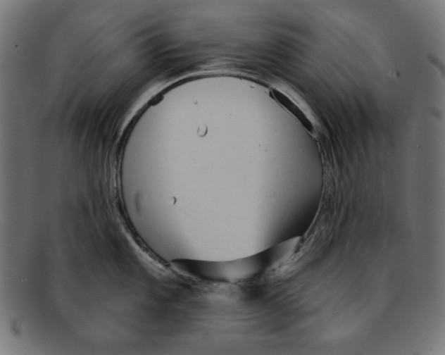 X0000092041101200710100953