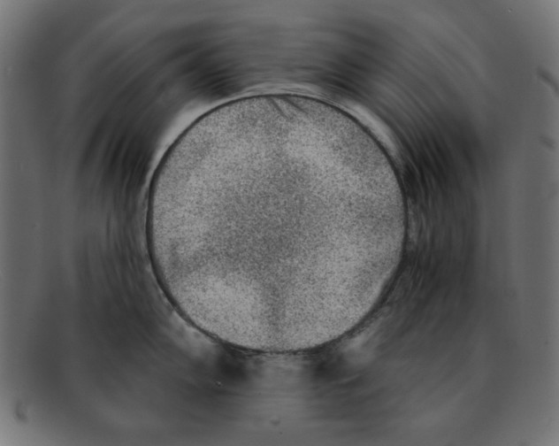 X0000092041102200710100953