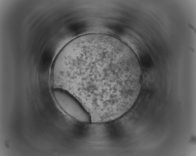 X0000092041103200710100953