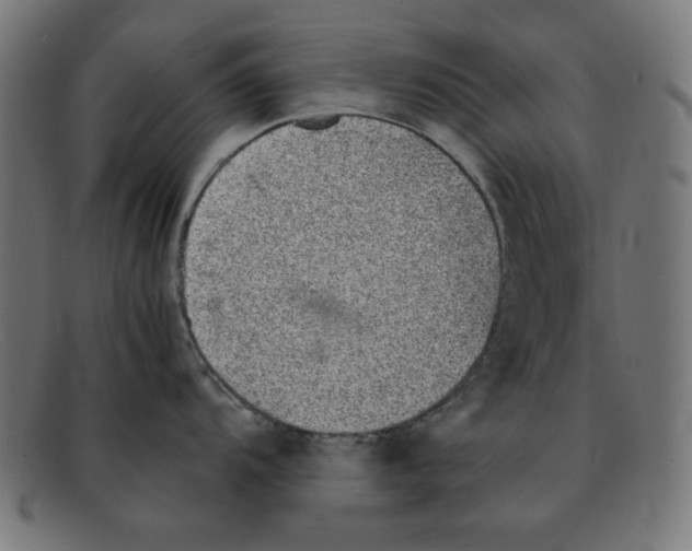 X0000092041104200710100953