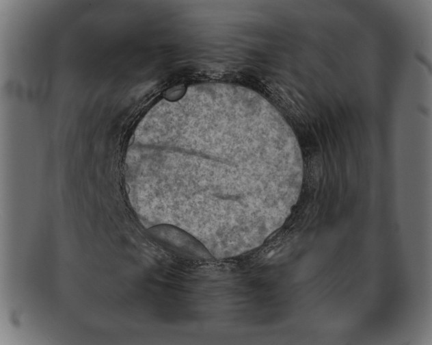 X0000092041105200710100952