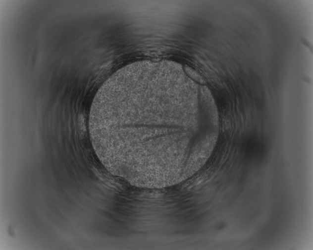 X0000092041106200710100952