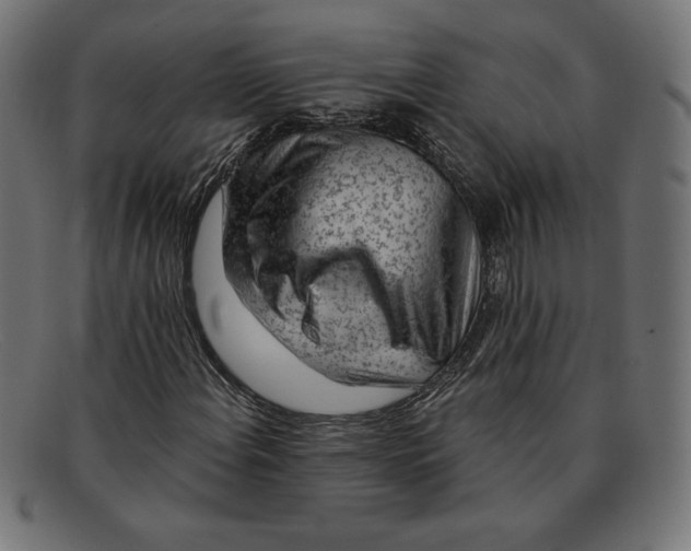 X0000092041108200710100952