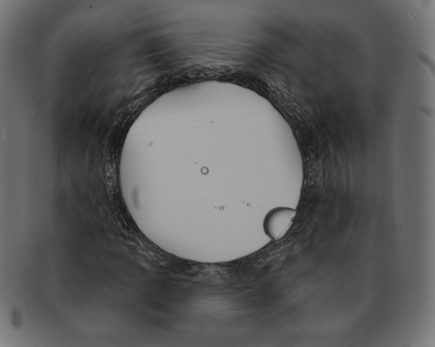 X0000092041109200710100952