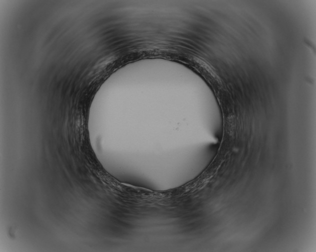 X0000092041111200710100952