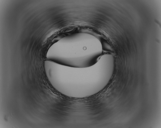 X0000092041112200710100952