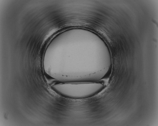 X0000092041114200710100952